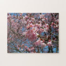 Zoek naar cherry blossom puzzels Natuur fotografie