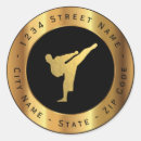 Zoek naar karate stickers Kung fu