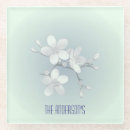 Zoek naar room onderzetters Voor haar