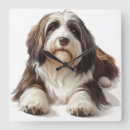Zoek naar baard klokken Hond