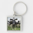 Zoek naar koeien sleutelhangers Boerderij