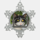 Zoek naar grappige heks ornamenten Kat