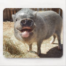 Zoek naar varkens muismatten Boerderij