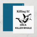 Zoek naar orka briefkaarten Walvis