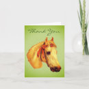 Zoek naar horse head briefkaarten Hoofd