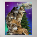 Zoek naar wolf maan posters Dieren