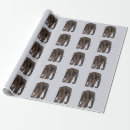 Zoek naar savanne cadeaupapier Olifant