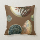 Zoek naar zeeschelp kussens Kust