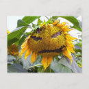 Zoek naar emoticon briefkaarten Grappig