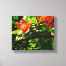 Zoek naar landbouw fotografie Natuur