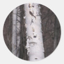 Zoek naar berk stickers Bos
