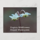 Zoek naar virginia briefkaarten Shenandoah