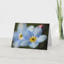 Zoek naar vergeet mij nietjes kaarten Bloemen