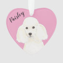 Zoek naar poedels ornamenten Kerstmis