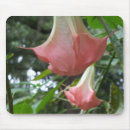 Zoek naar engelse tuin muismatten Vrouwelijk