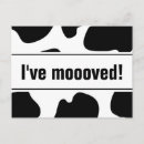 Zoek naar grappige koe voor uitnodigingen We zijn verhuisd