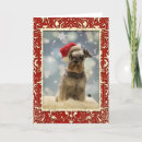 Zoek naar schnauzer honden kaarten Kerstmis