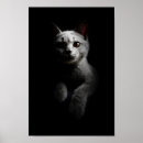 Zoek naar katten portret posters Dier