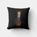 Zoek naar veulen kussens Pony