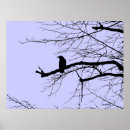 Zoek naar roek posters Vogel