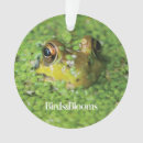 Zoek naar kikkers ornamenten Dier