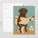 Zoek naar chocolade labrador retriever briefkaarten Voor iedereen