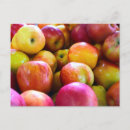 Zoek naar landbouwer briefkaarten Herfst