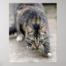 Zoek naar lengte posters Italië