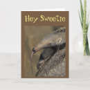 Zoek naar aardvark briefkaarten Liefde