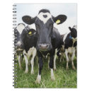 Zoek naar koeien notitieboeken Landbouw