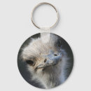 Zoek naar ostrich sleutelhangers Foto