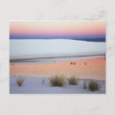 Zoek naar zand duin briefkaarten Nieuw mexico