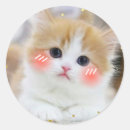 Zoek naar kawaii kat stickers Schattige kitten