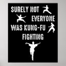 Zoek naar kungfu posters Vechtkunst