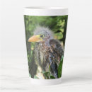 Zoek naar reiger mokken Wild