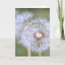 Zoek naar paardebloem kaarten Bloemen