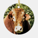 Zoek naar koe ornamenten landbouwhuisdieren