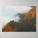 Zoek naar wolken posters Zonsopgang