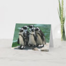 Zoek naar penguin kaarten Dank u