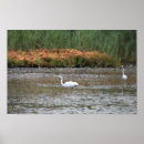 Zoek naar reigers posters Voor iedereen