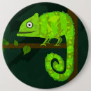 Zoek naar kameleon buttons Schattig