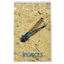 Zoek naar insect kalenders Vlinder