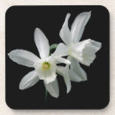 Zoek naar daffodil onderzetters Floral