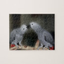 Zoek naar parrot puzzels Schattig