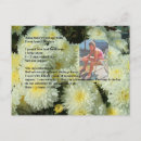 Zoek naar cabbage briefkaarten Elk persoon