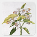 Zoek naar guirlande stickers Robert