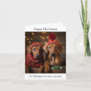 Zoek naar rhodesian kaarten Rhodezische ridgeback