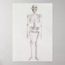 Zoek naar evolutie van man posters Hominid