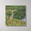 Zoek naar hert kunst Vogel