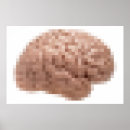 Zoek naar kleine hersenen posters Dokter